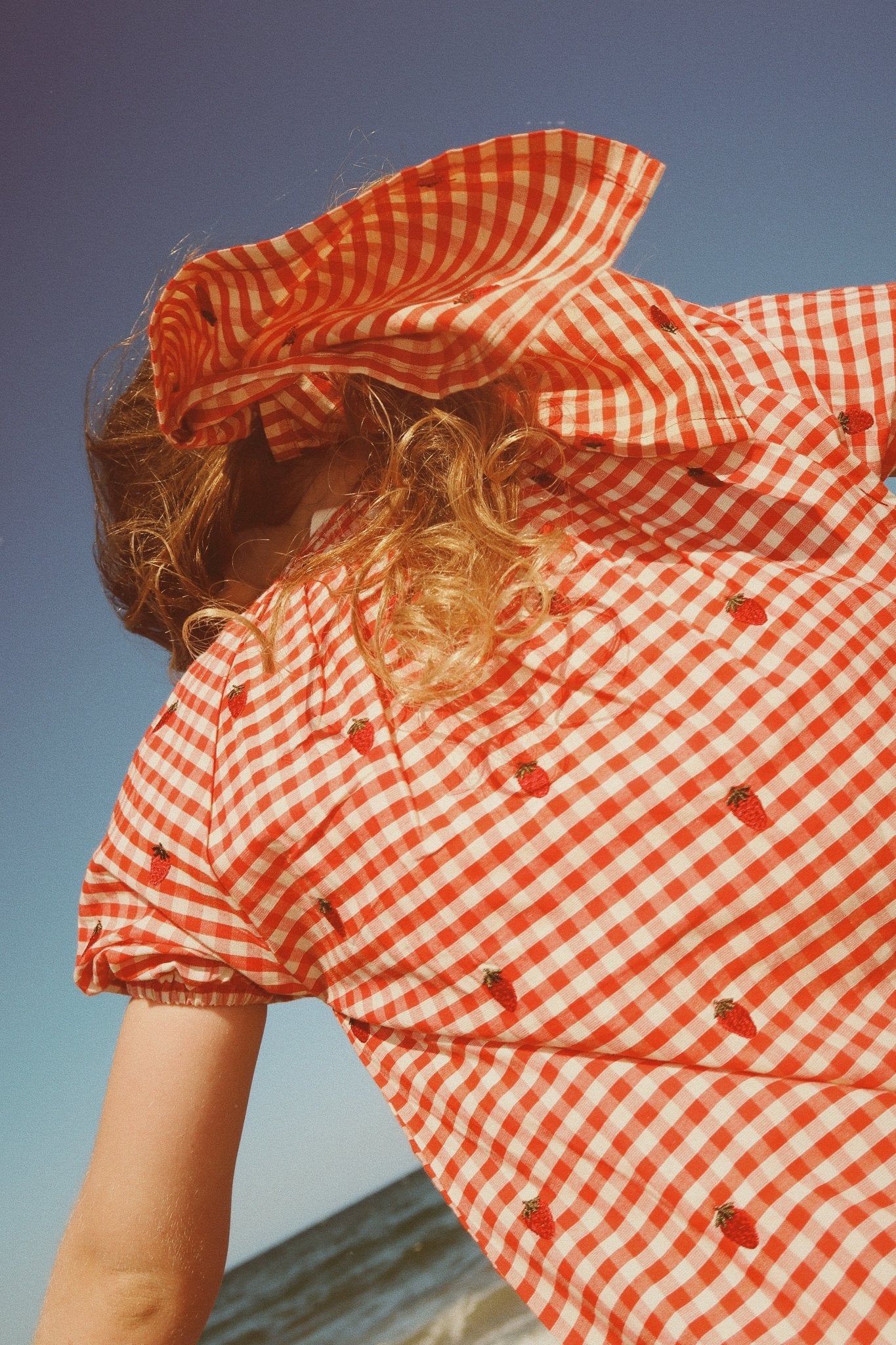 FLOESS Molly Dress - Berry Gingham Flöss