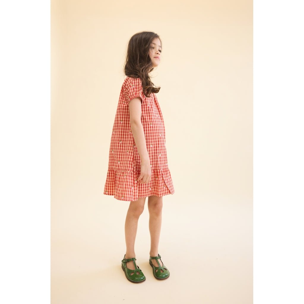 Flöss Molly Pineberry Dress - Red Berry Gingham