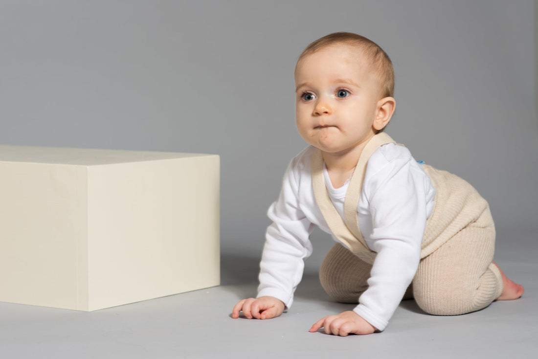 Silly Silas Footless Cream Blend Silly Silas