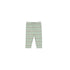 Hello Simone Pipa Baby Leggings - Kitty Aqua