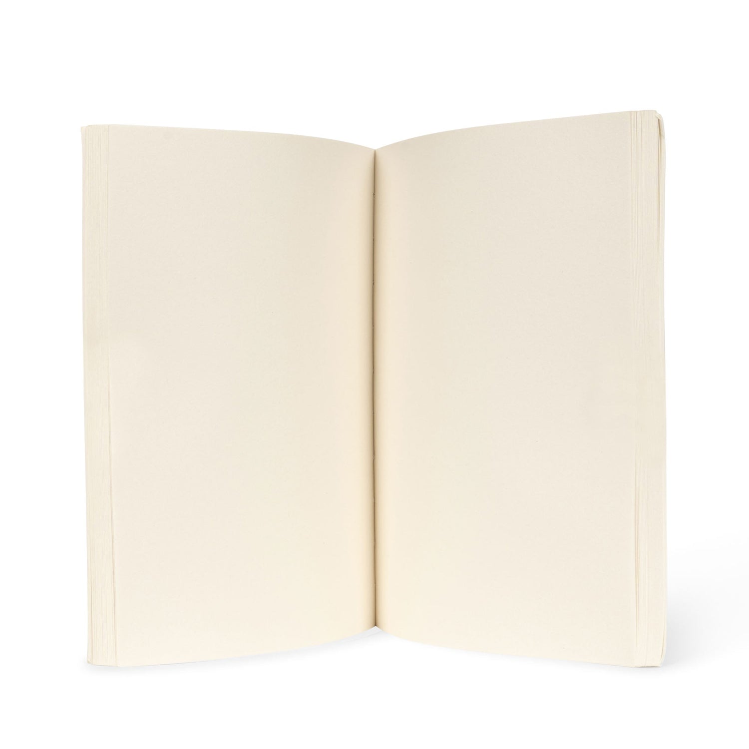 Konges Sløjd ARTIST SET FSC - dino Konges Sløjd