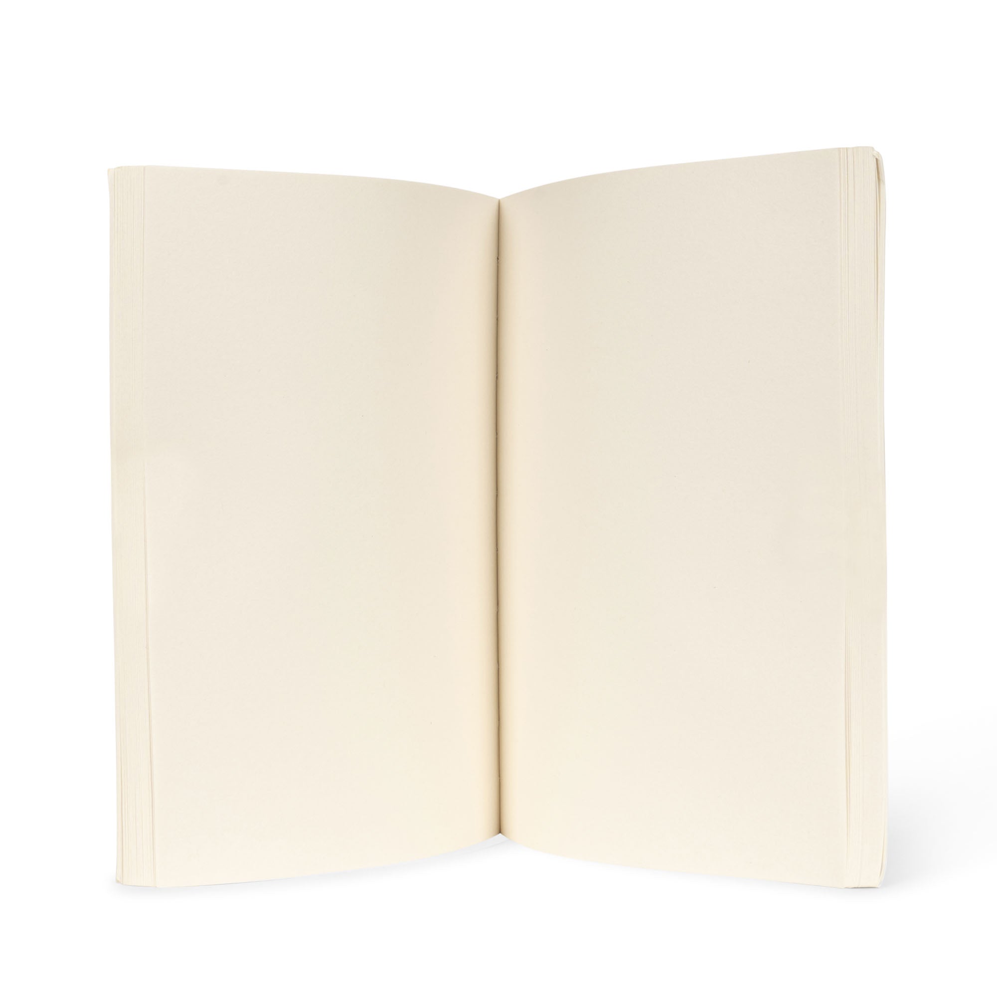 Konges Sløjd ARTIST SET FSC - dino Konges Sløjd