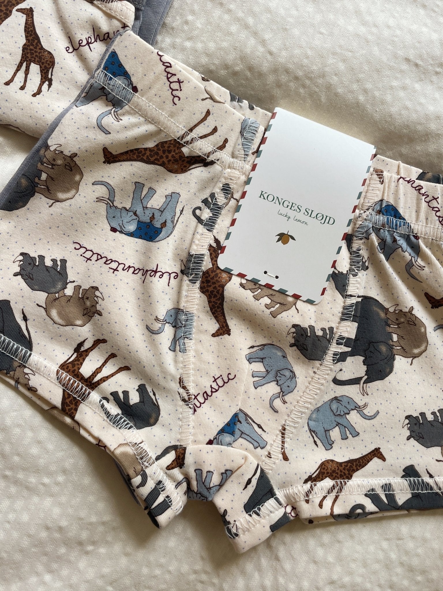 Konges Sløjd BASIC 2 PACK BOY BOXERS GOTS - elefantastic/sleet Konges Sløjd