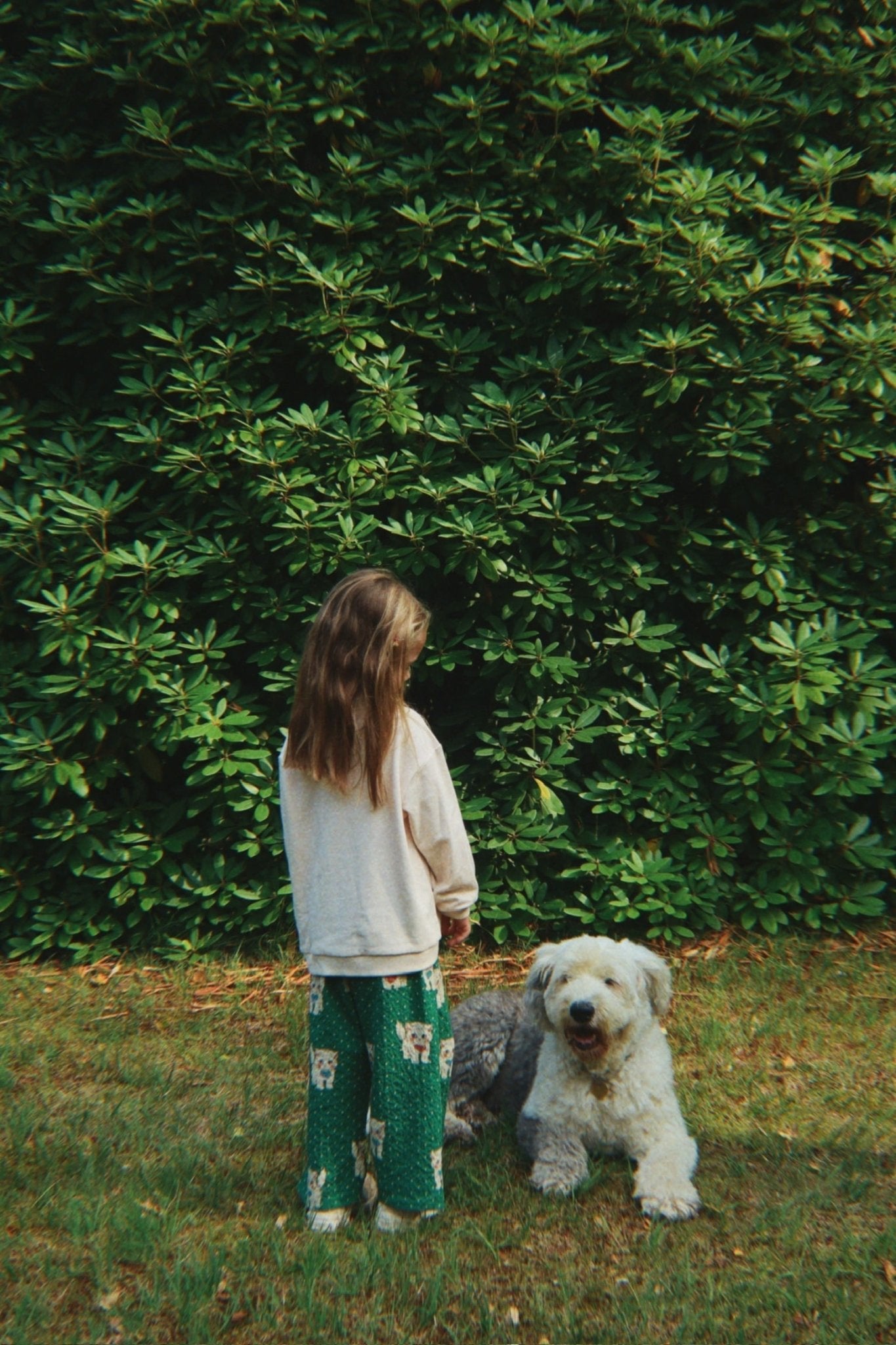 Konges Sløjd ELIN PANTS - dot miao verde Konges Sløjd Limited Collection