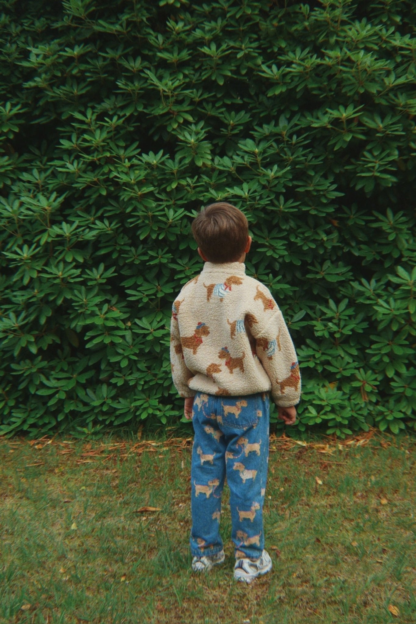 Konges Sløjd Jody Teddy Jacket - bassotto Konges Sløjd Limited Collection