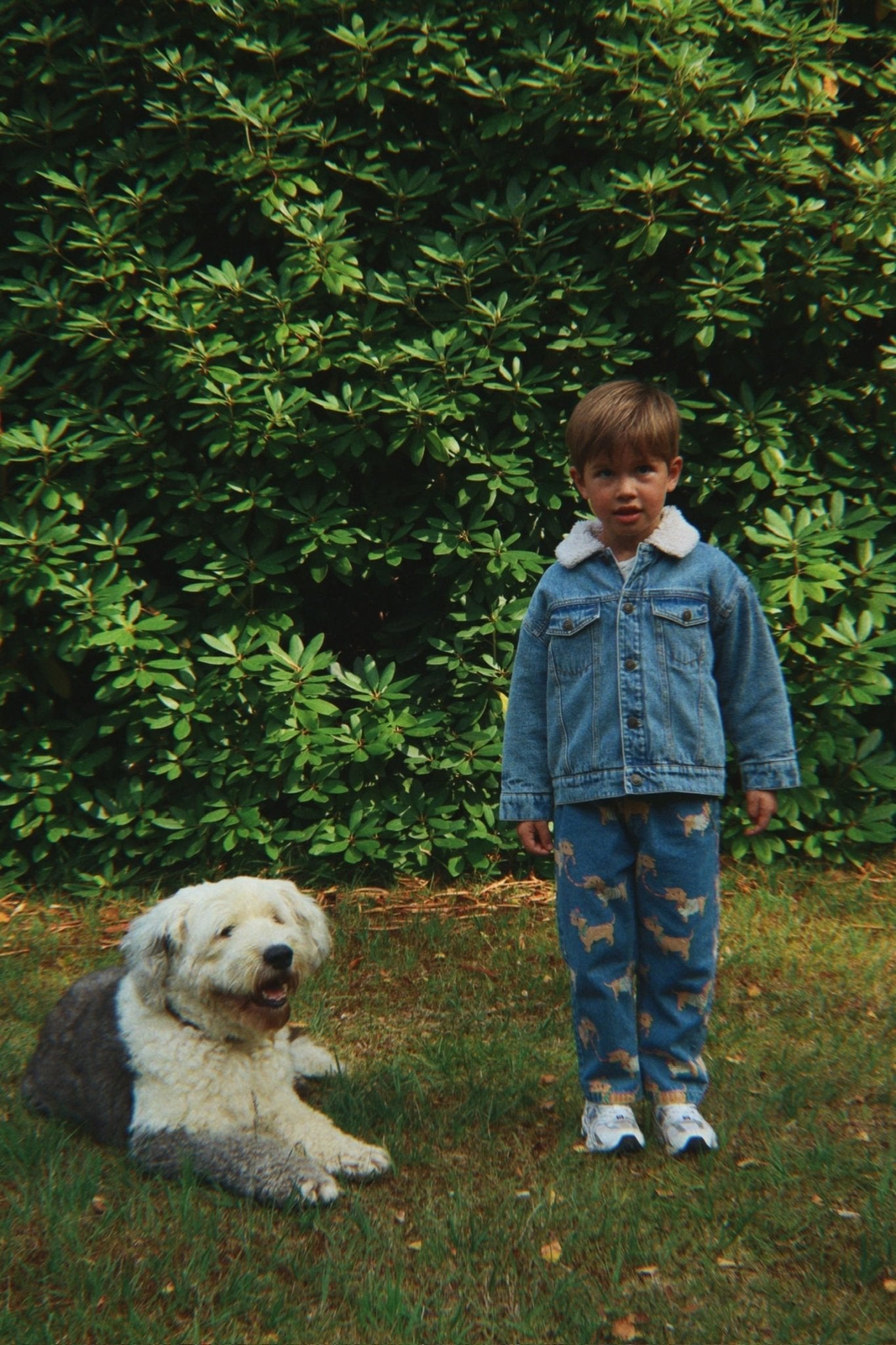 Konges Sløjd MAGOT PANTS - bassotto Konges Sløjd Limited Collection