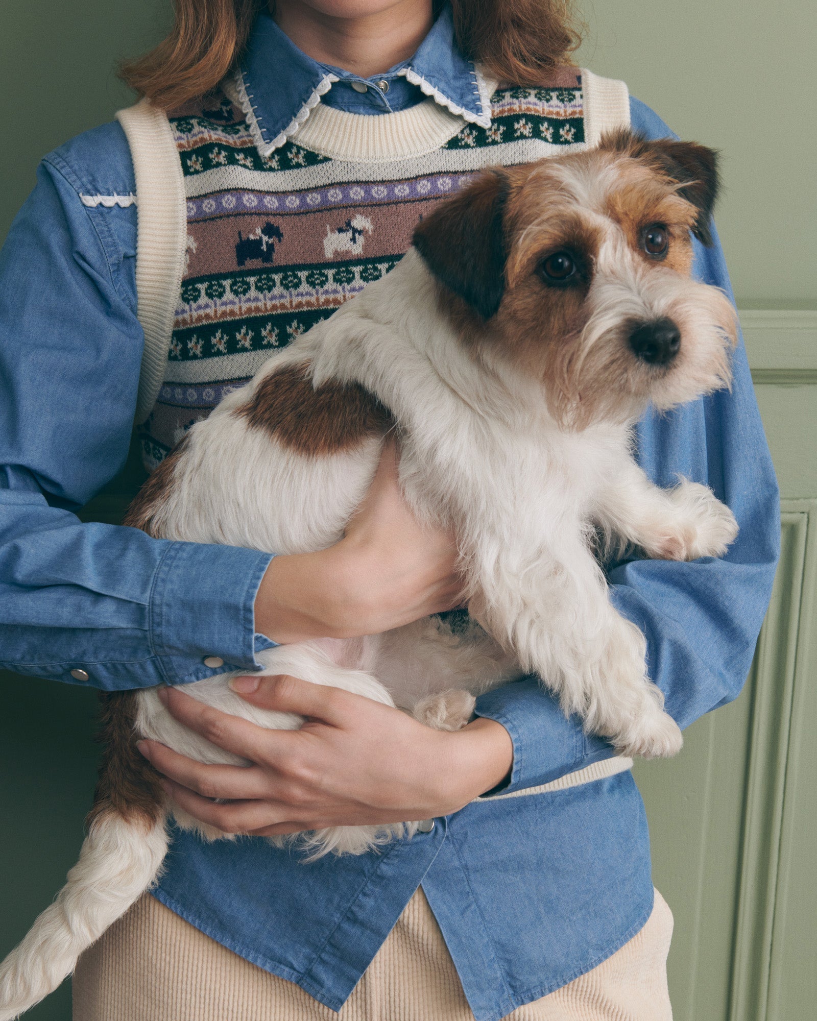 Maison Labiche &quot;Jacquard Chiens&quot; lafay merino wool sweater MULTICO JACQUARD Maison Labiche