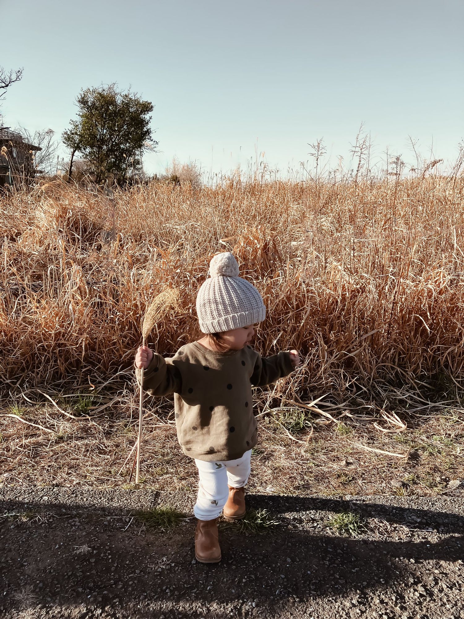Olive Dots Sweatshirt Organic Zoo