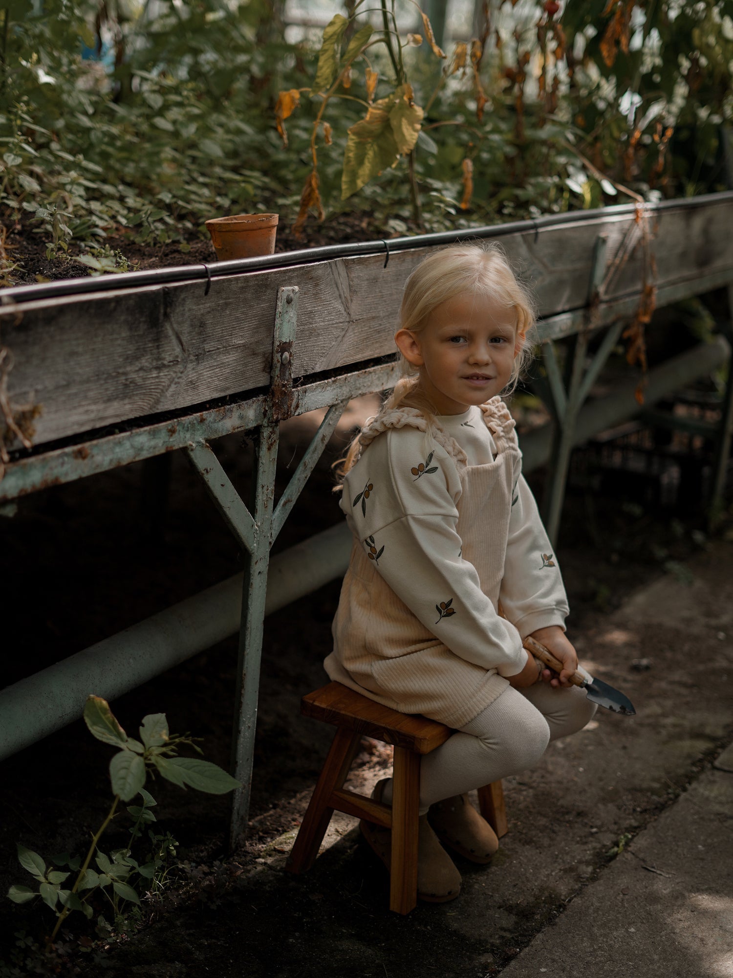 Olive Garden Sweatshirt Organic Zoo