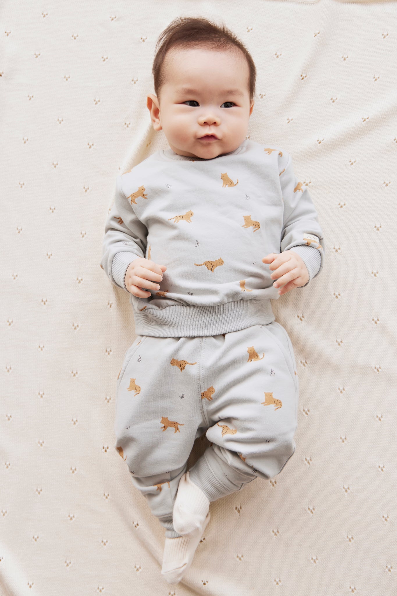 Organic Cotton Jalen Track Pant - Lenny Leopard Ocean Spray Jamie Kay - enjoykidsus