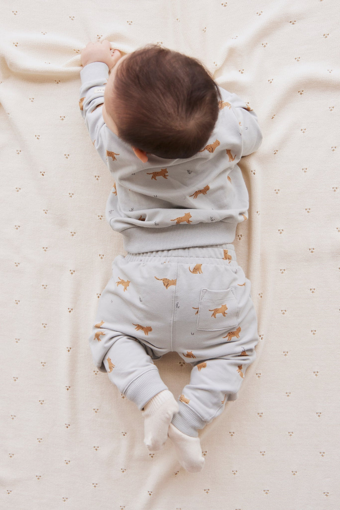 Jamie Kay Organic Cotton Jalen Track Pant - Lenny Leopard Ocean Spray Jamie Kay