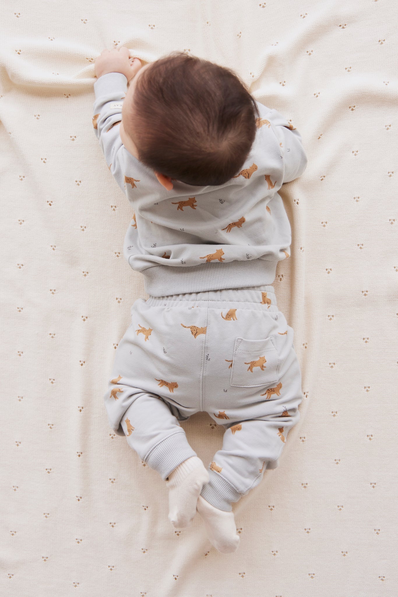 Jamie Kay Organic Cotton Jalen Track Pant - Lenny Leopard Ocean Spray Jamie Kay