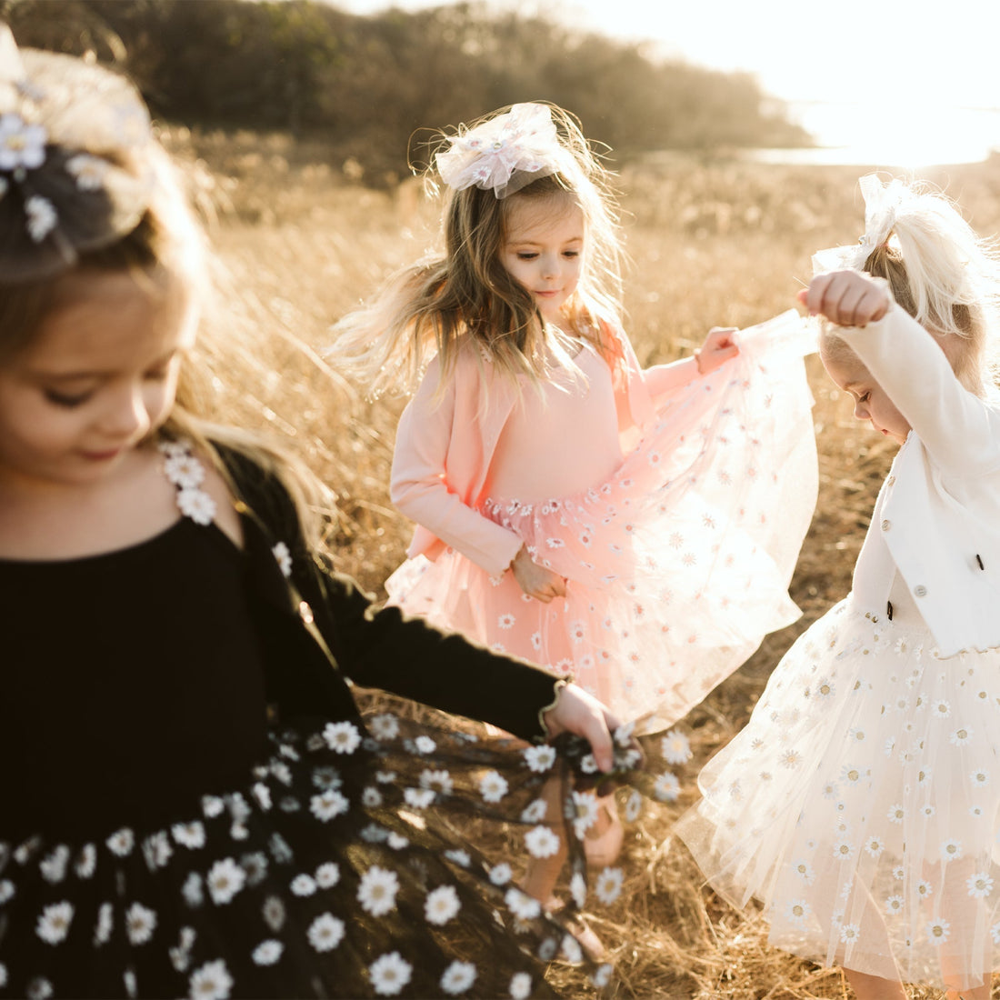 Petite Hailey Daisy Cardigan - Black Petite Hailey