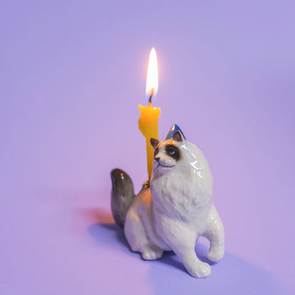 Camp Hollow Ragdoll Cat Birthday Candle Holder | Porcelain Cake Topper