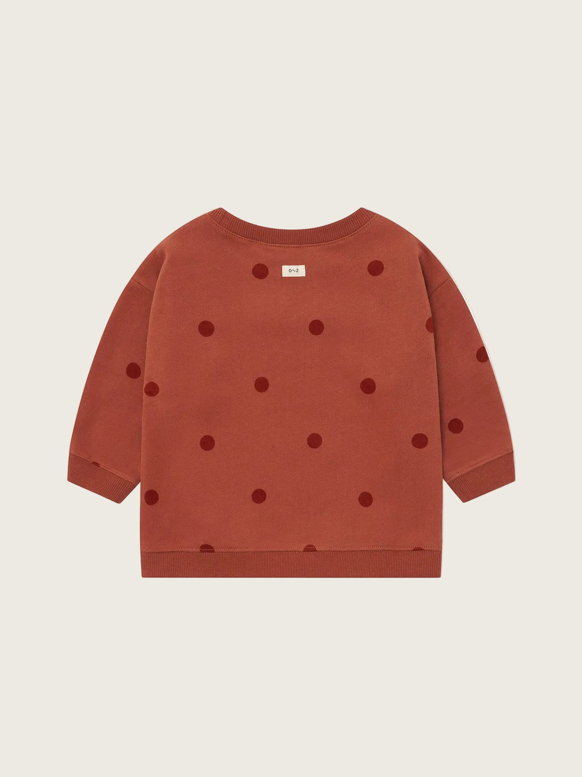 Organic Zoo Rooibos Dots Sweatshirt image 5