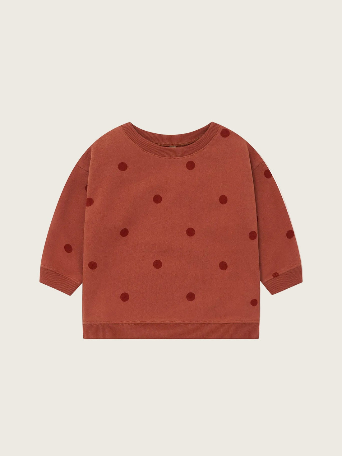 Organic Zoo Rooibos Dots Sweatshirt image 1
