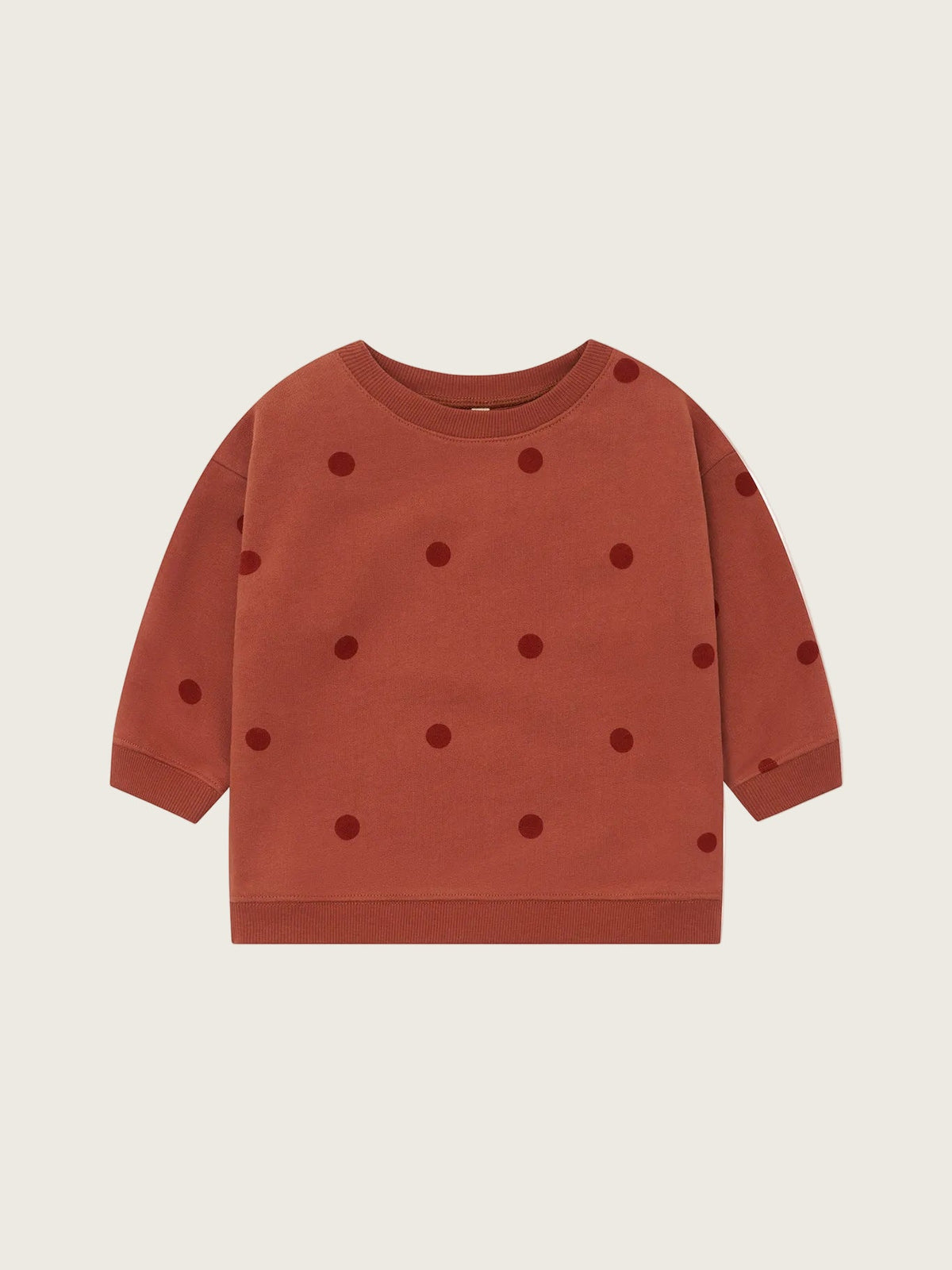 Organic Zoo Rooibos Dots Sweatshirt image 1