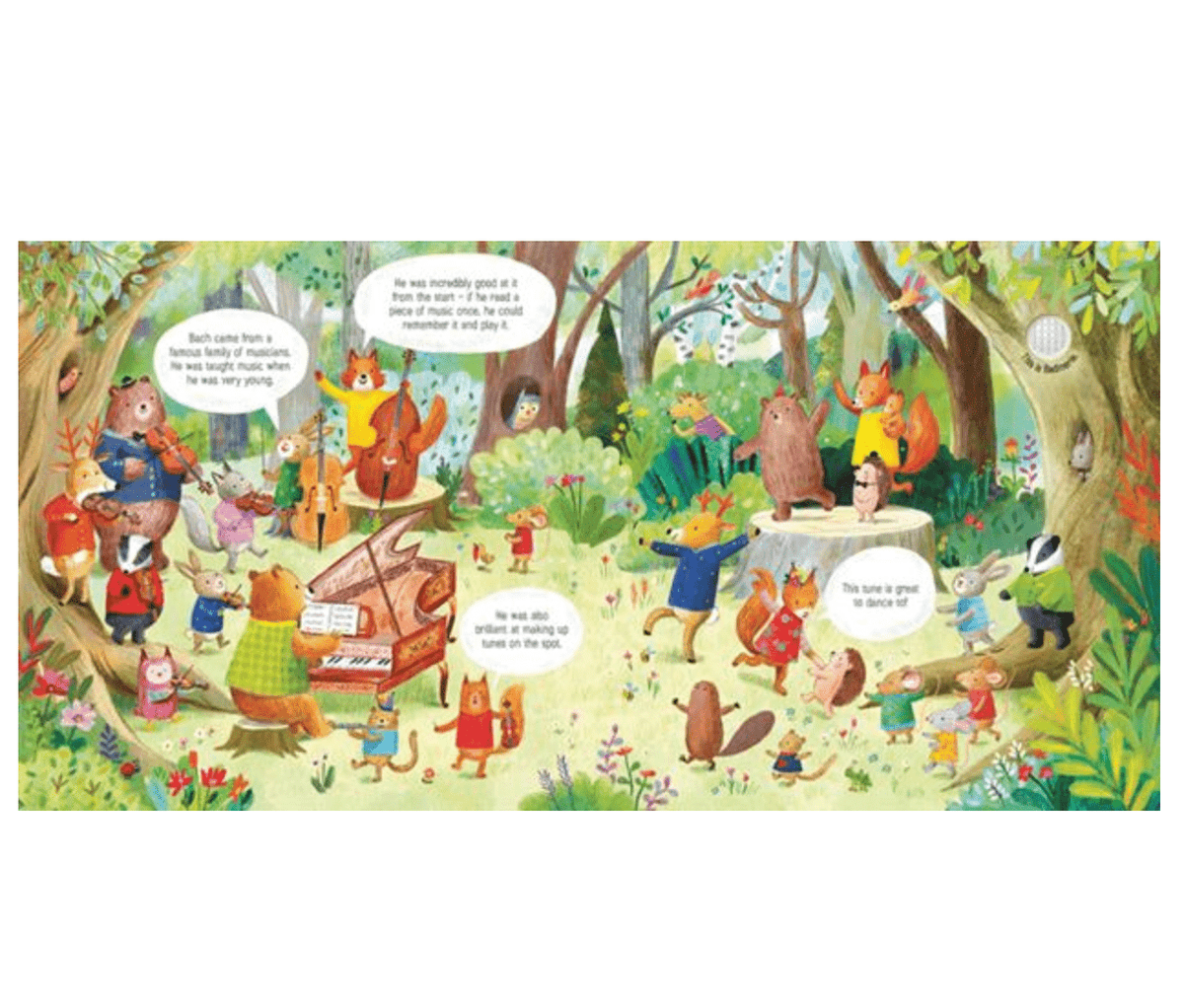 Usborne Animal Orchestra Plays Bach, The (IR) usborne
