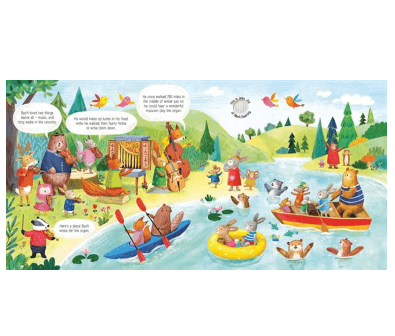 Usborne Animal Orchestra Plays Bach, The (IR) usborne - enjoykidsus